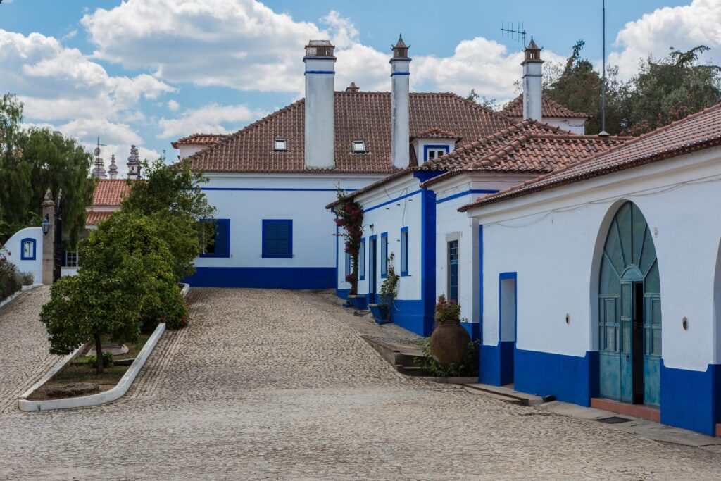 No coração de Arraiolos, o Monte da Ravasqueira revela a essência do Alentejo, unindo tradição, paisagem e excelência vitivinícola em cada garrafa. https://www.portugalbywine.com/pt/experiencias/info/monte-da-ravasqueira-un-terroir-diferente_1187/