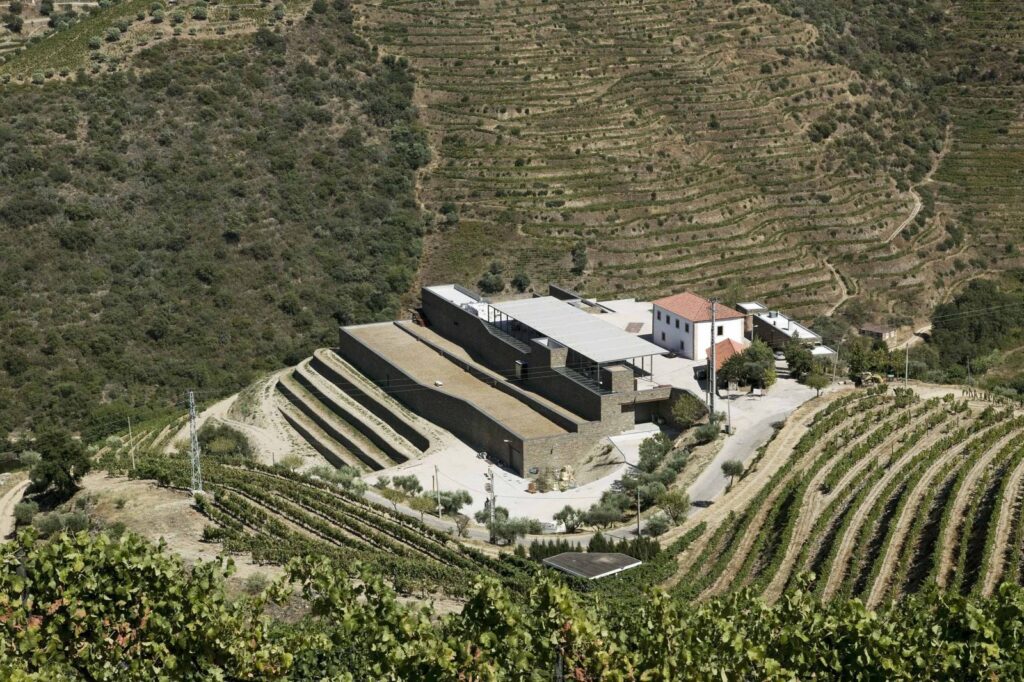 A história da Niepoort começa em 1842, quando Franciscus Marius Niepoort, fundou a empresa. Atualmente a linha de vinhos de mesa é bastante extensa. Começa pelos tradicionais tintos do Douro, Dão e Bairrada, elaborados com as uvas representativas das respectivas regiões, até espumantes, pét-nats, passando por cuvées a partir de variedades estrangeiras, como Riesling, Syrah e Merlot.. https://www.douroboys.com/pt/niepoort/