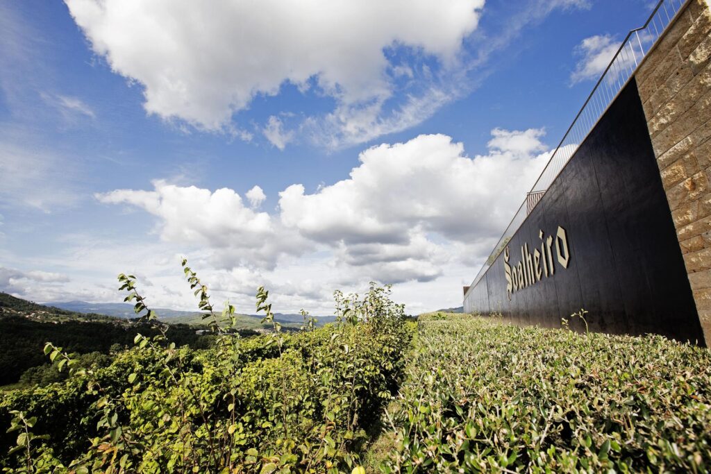 Pioneira no cultivo do Alvarinho em Melgaço desde 1974, a Soalheiro consolidou-se como referência na região de Monção e Melgaço, aliando tradição familiar, sustentabilidade e viticultura orgânica https://www.portugalbywine.com/pt/experiencias/info/quinta-de-soalheiro-degustacion-premium_970/