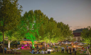 Vinhedos Wine Garden Miolo