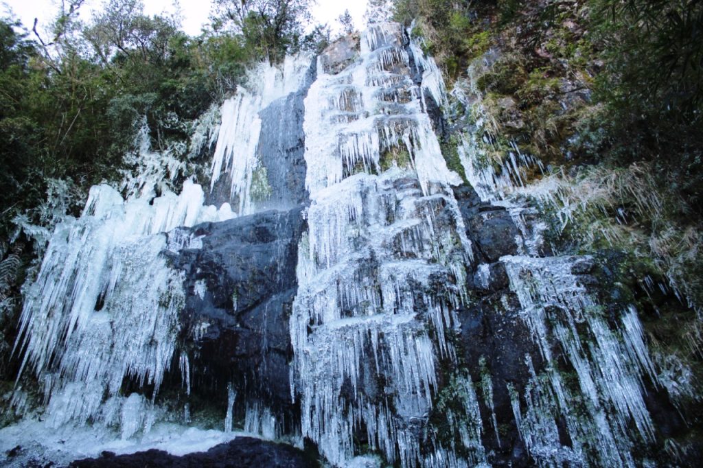 Santa Catarina Vinhos