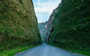 Santa Catarina Vinhos