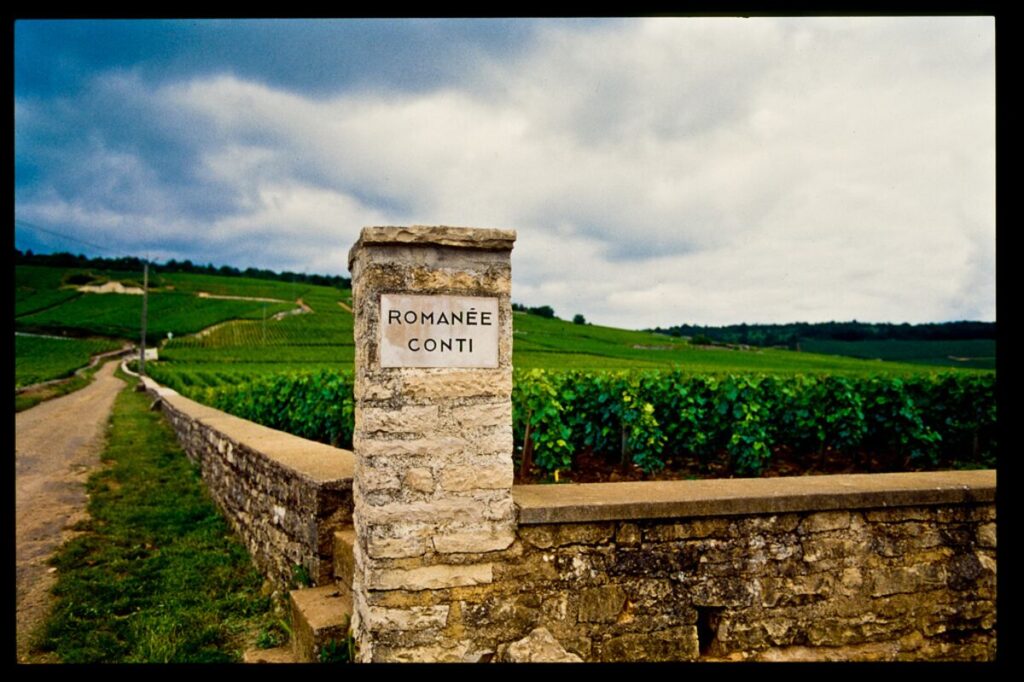 Tailor Made Wine Itineraries — Curated Travel for Wine Lovers Worldwide