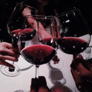 Um brinde a Seleção especial de vinhos argentinos