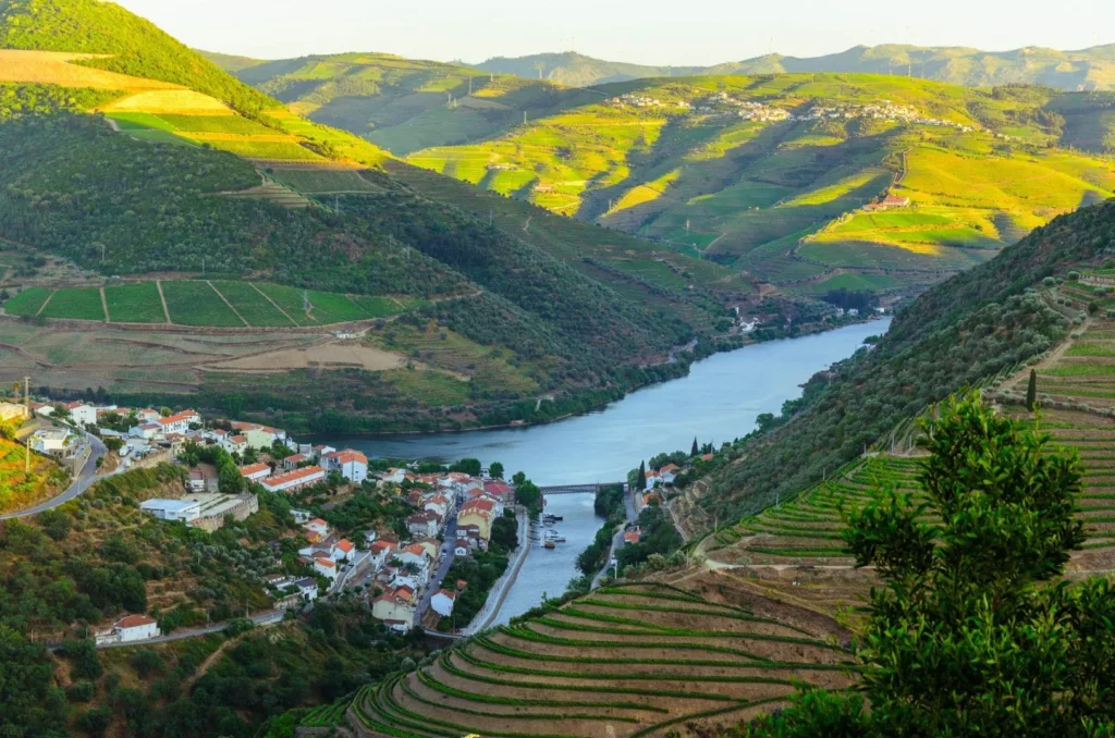 Douro – A Majestade dos Vinhos Fortificados e Tintos Estruturados
