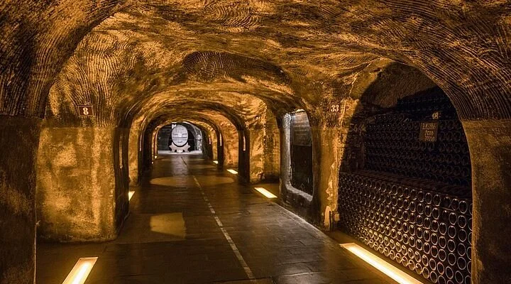 Enoturismo na França: Vinícolas, Regões e Roterios