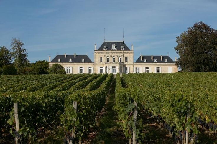 Enoturismo na França: Regiões, Vinícolas Icônicas e Roteiros