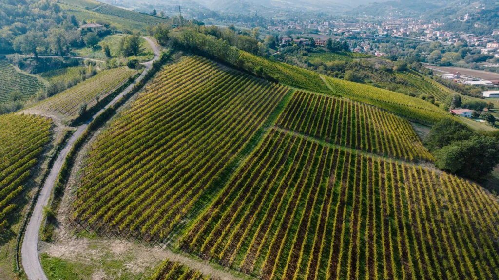 Piemonte – O Berço Nobre do Enoturismo e a Elegância dos Vinhos Icônicos