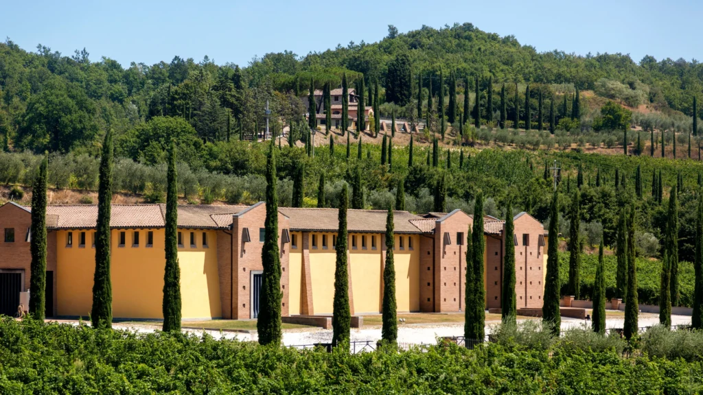 Toscana – A Rota Clássica de Enoturismo e a Alma da Vinicultura Italiana